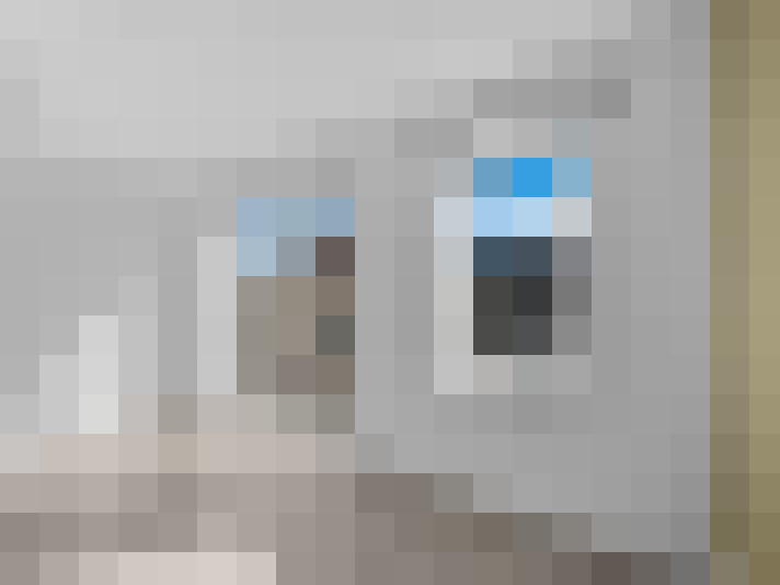  / #17