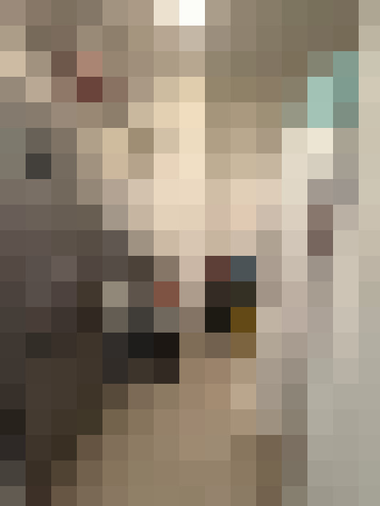  / #14