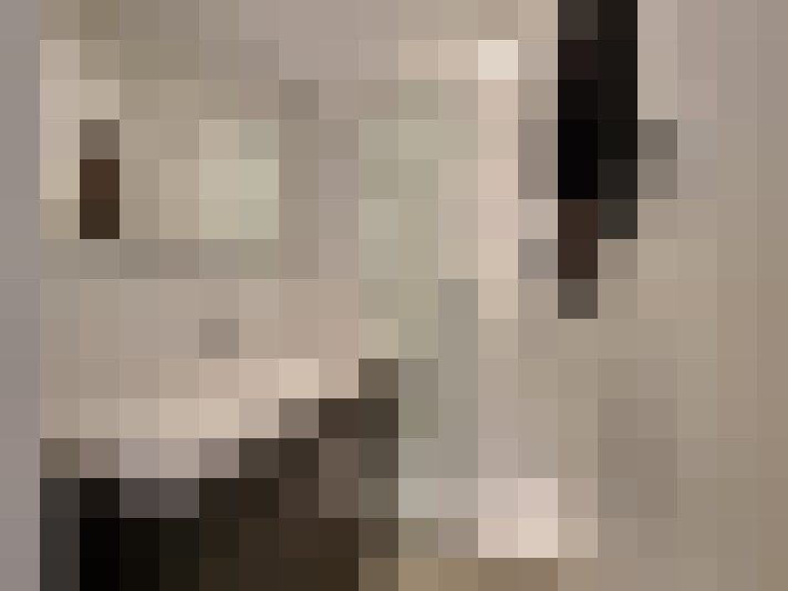  / #12