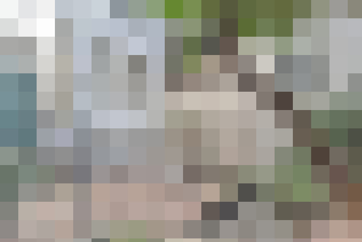  / #17