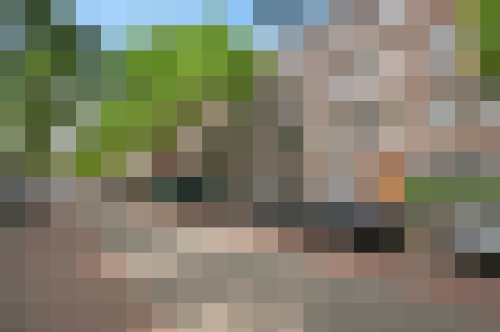  / #19