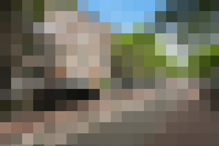  / #20