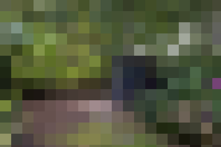  / #23