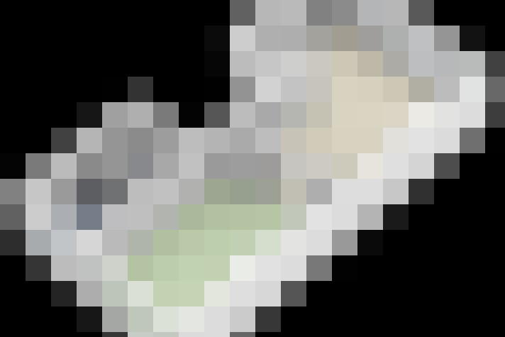  / #14
