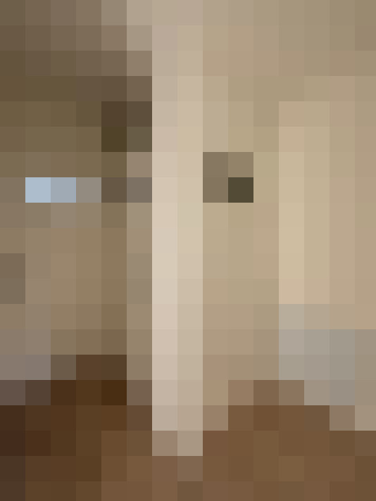  / #17