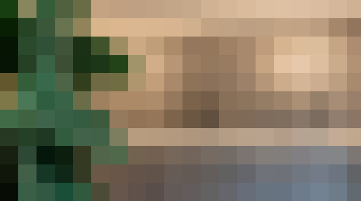  / #19