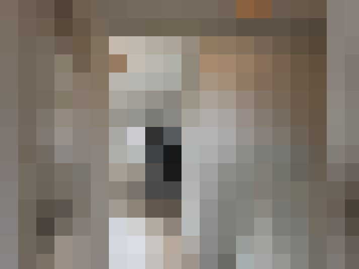  / #20