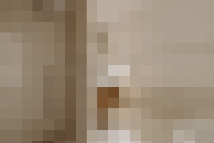  / #15