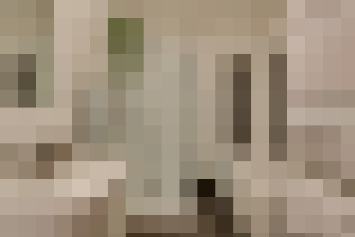  / #23