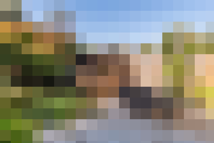 / #14