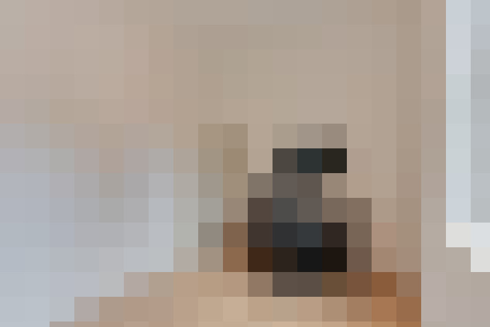  / #22