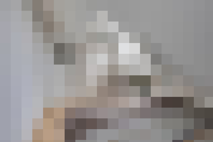  / #17