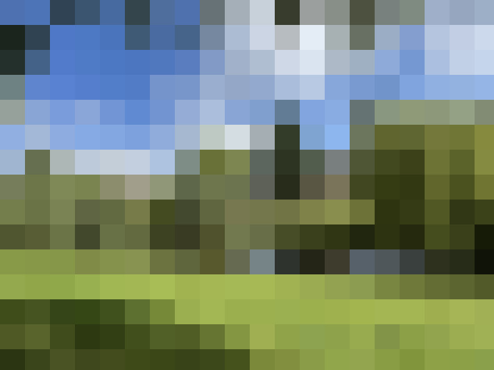  / #16