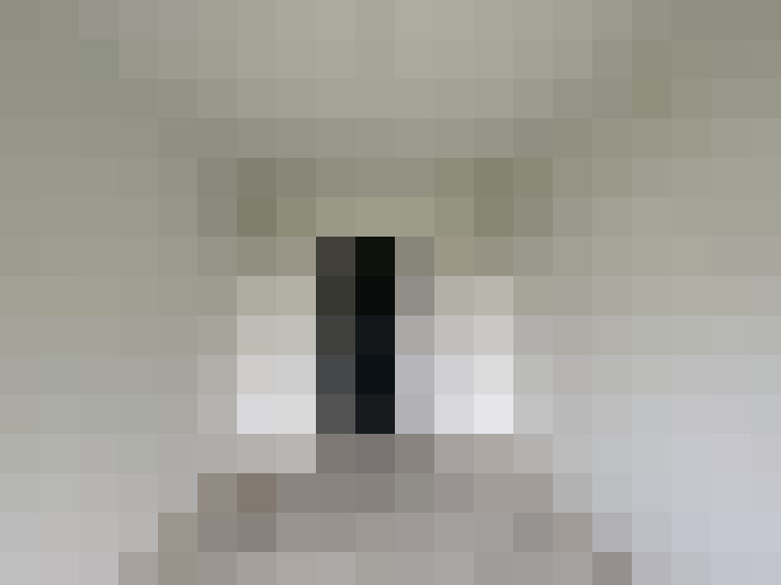  / #6