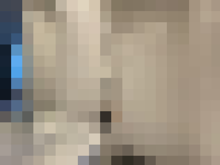  / #8
