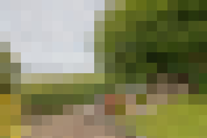  / #12