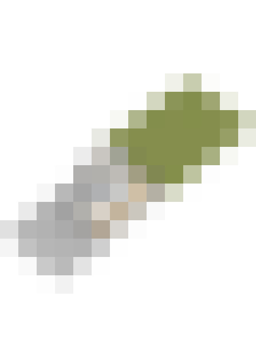  / #37