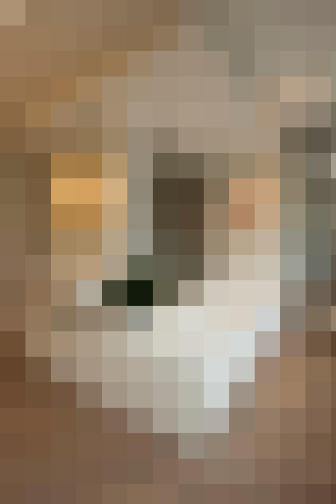  / #14