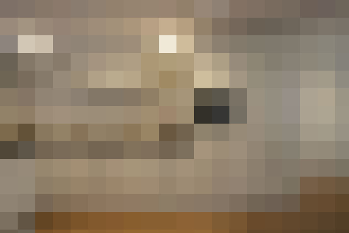  / #8