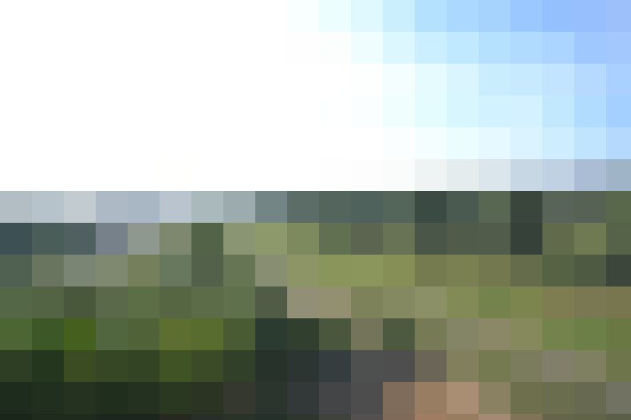  / #8