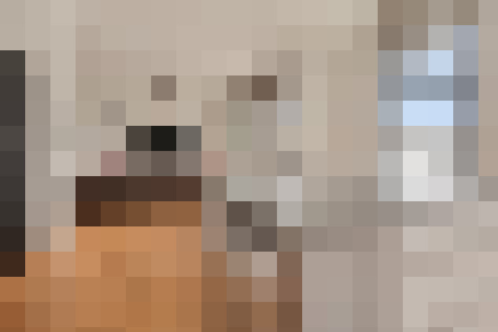  / #13
