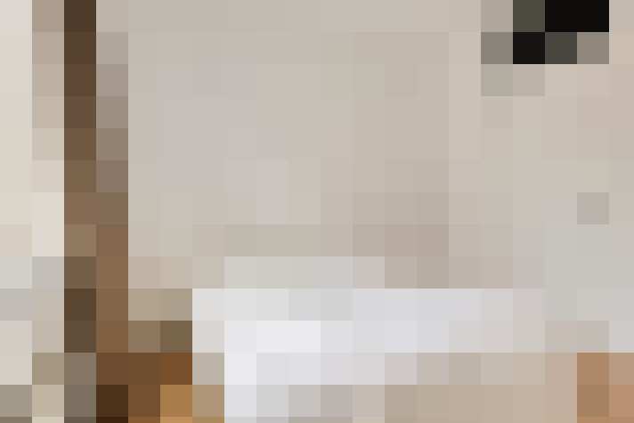  / #24