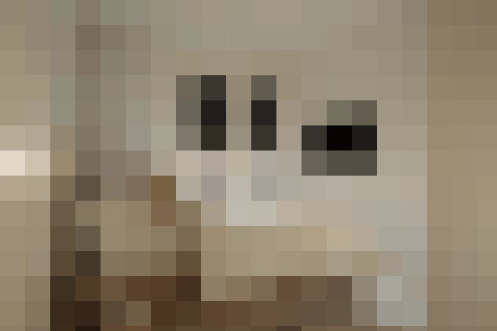  / #19