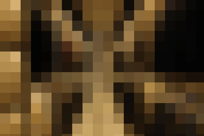  / #21