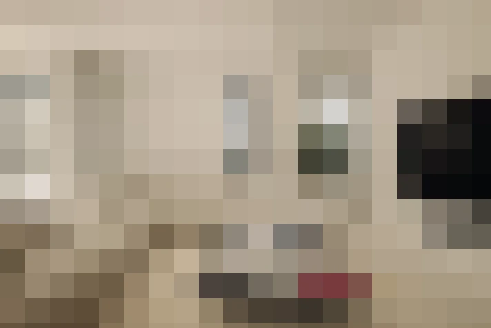  / #15