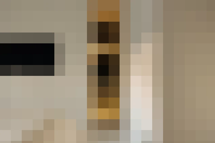  / #20