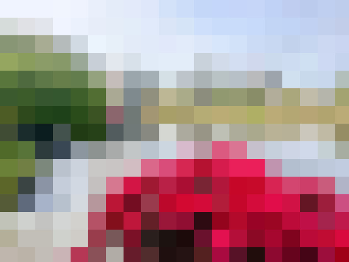 / #7