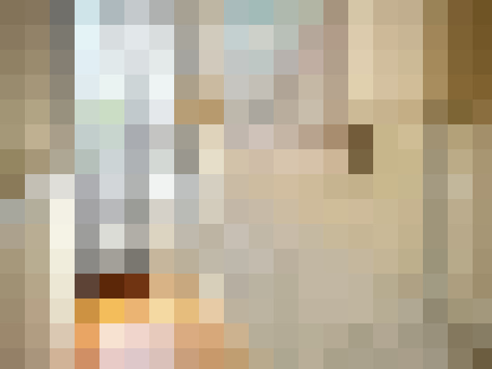  / #16