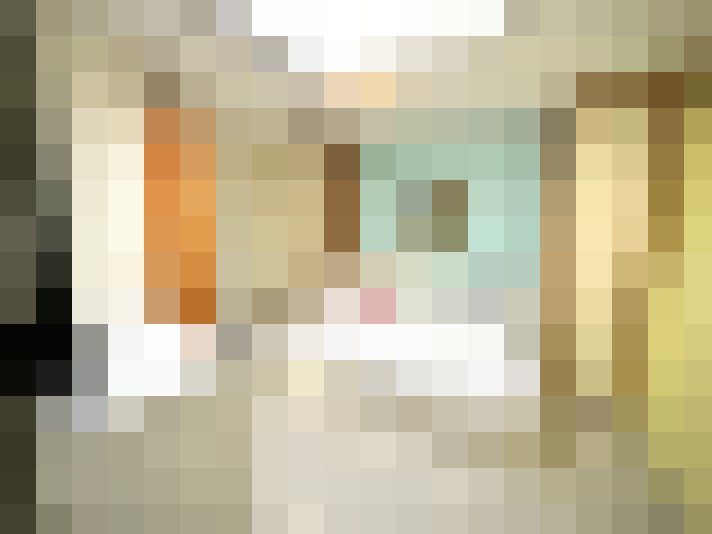  / #19