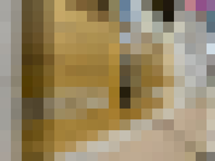  / #29