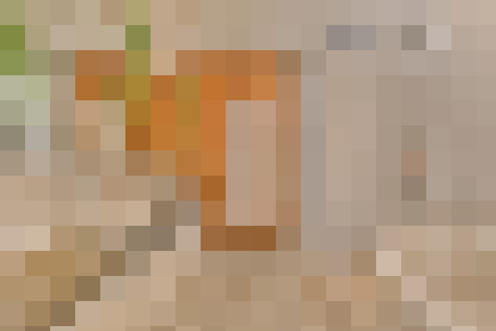  / #20