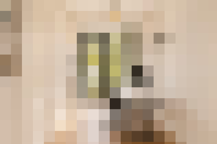  / #17