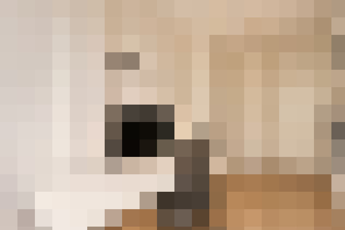  / #18