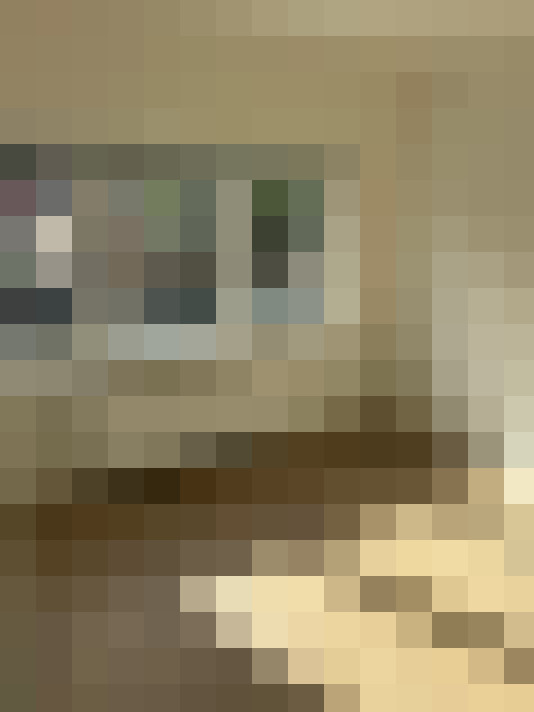  / #17