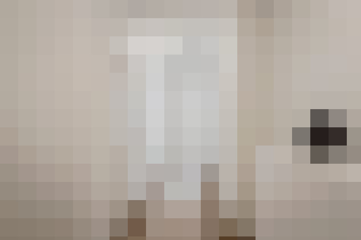  / #19