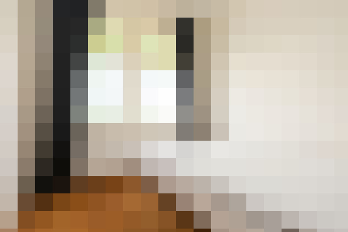  / #12