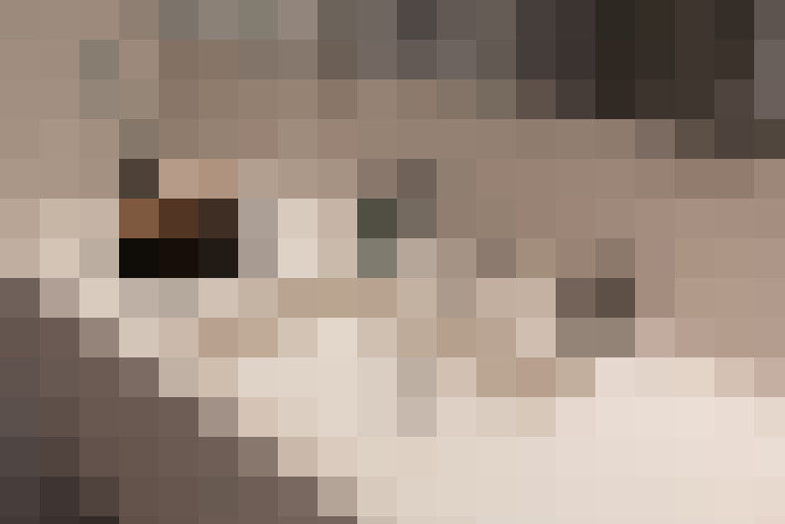 / #23