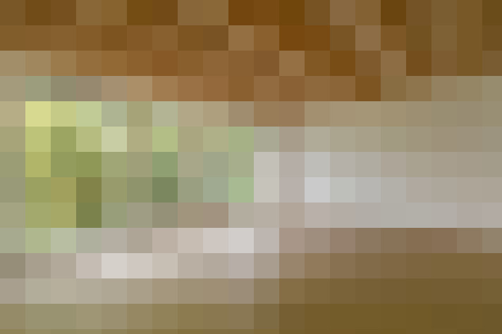  / #21
