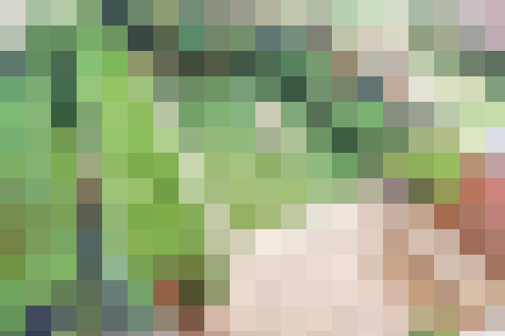  / #47