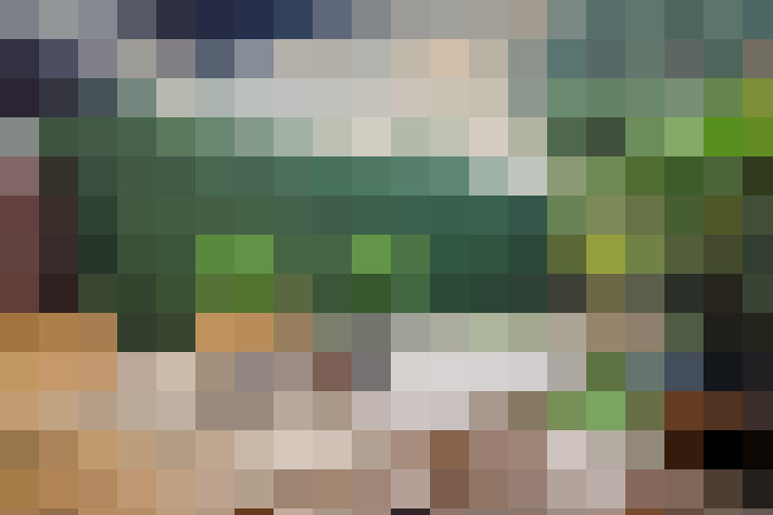  / #19