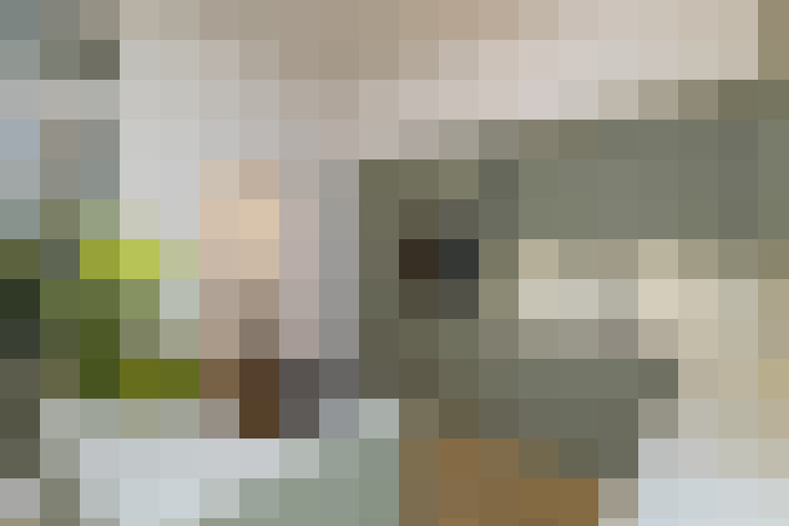  / #12