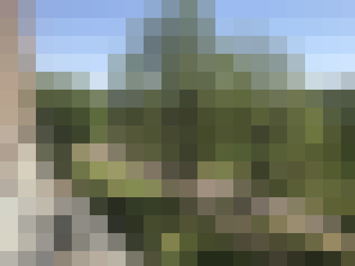 Image 18