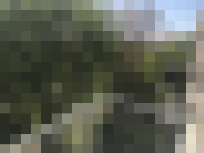 Image 17