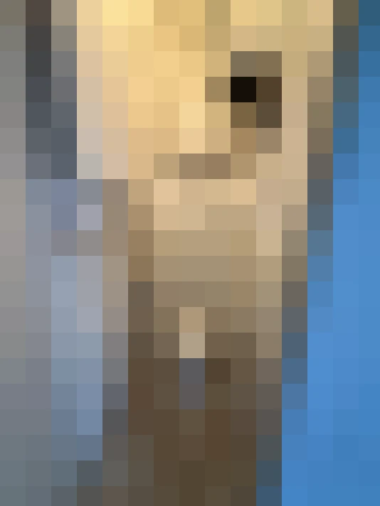  / #13