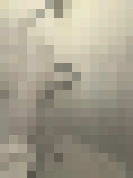  / #17