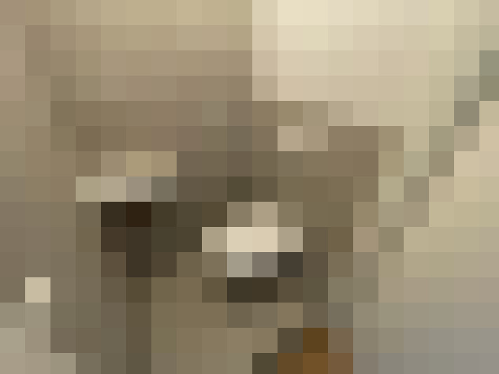  / #7